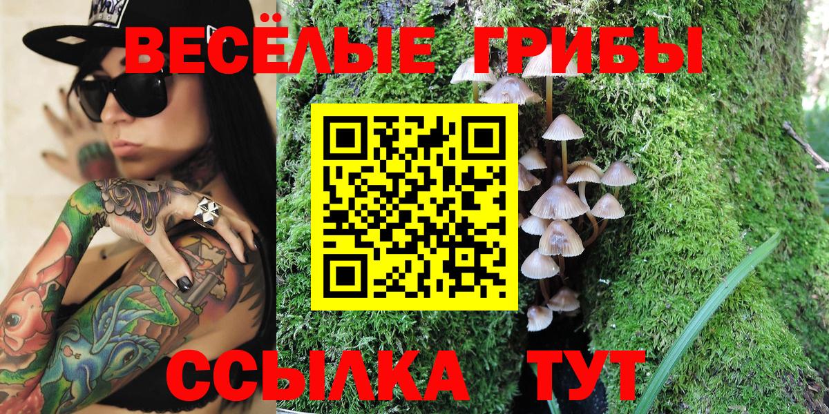 Нефтекамск  наркошоп  Вход с VPN  Галлюциногенные грибы Psilocybe 