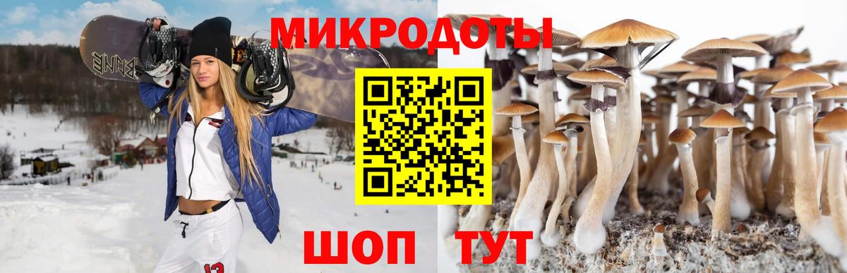 Псилоцибиновые грибы GOLDEN TEACHER Нефтекамск
